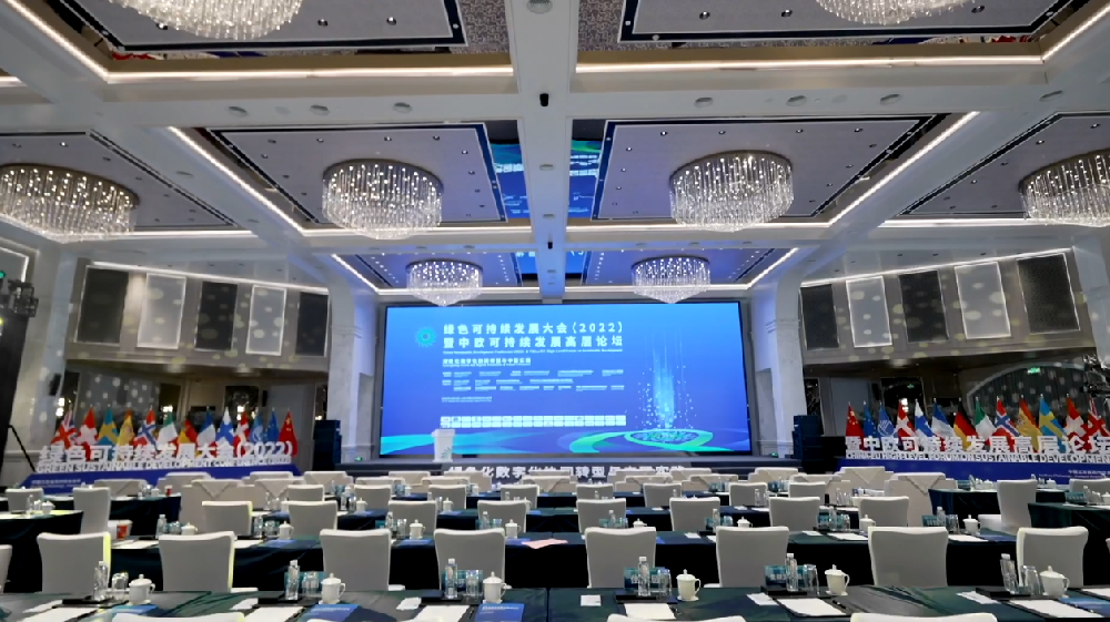 绿色化数字化协同转型与中国实践会