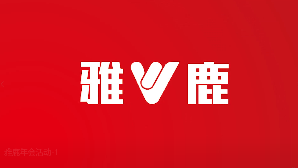雅鹿集团年会盛典
