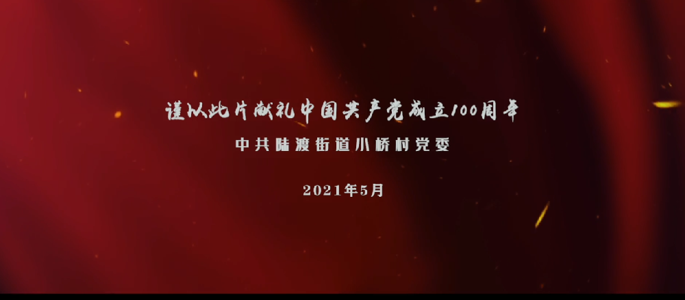 最美党员-中共陆渡街道小桥村党委