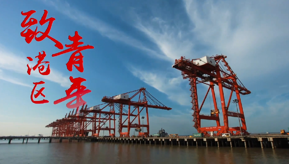 港区青年